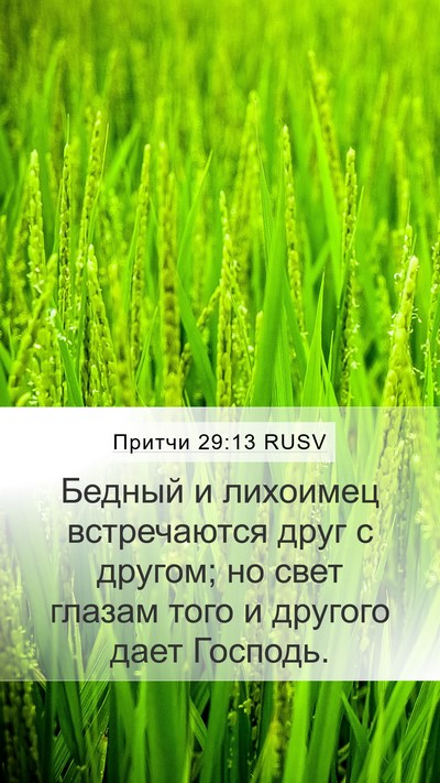 Притчи 29:13 RUSV Bible Verse Image