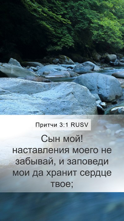 Притчи 3:1 RUSV Bible Verse Image