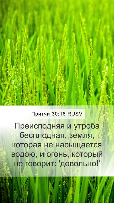 Притчи 30:16 RUSV Mobile Phone Wallpaper - Преисподняя и утроба - Mobile Bible Verse Wallpaper