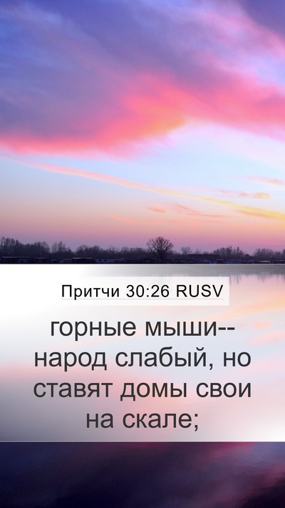 Притчи 30:26 RUSV Mobile Phone Wallpaper - горные мыши--народ слабый, - Mobile Bible Verse Wallpaper