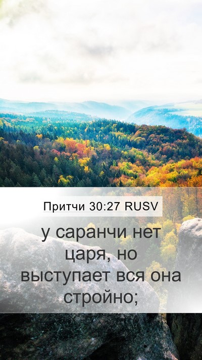 Притчи 30:27 RUSV Bible Verse Image