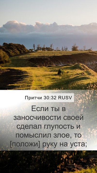 Притчи 30:32 RUSV Bible Verse Image