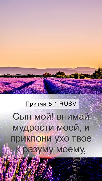 Притчи 5:1 RUSV Bible Verse Image
