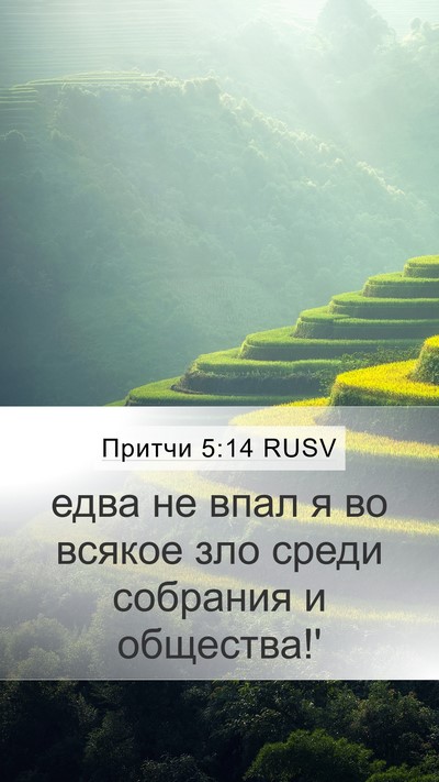 Притчи 5:14 RUSV Mobile Phone Wallpaper - едва не впал я во всякое - Mobile Bible Verse Wallpaper