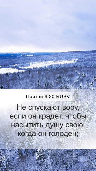 Притчи 6:30 RUSV Bible Verse Image