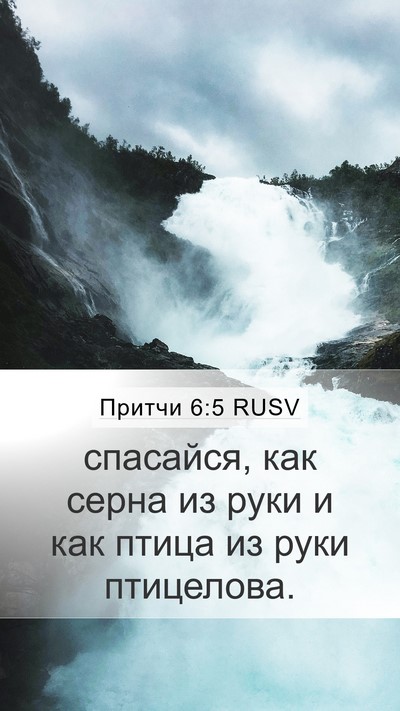 Притчи 6:5 RUSV Bible Verse Image