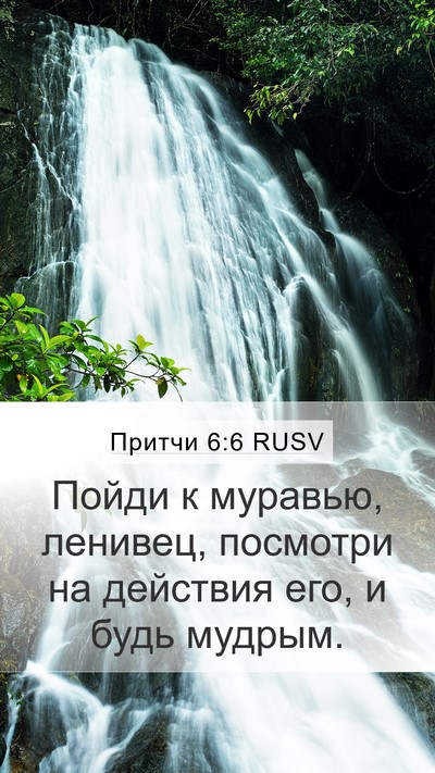 Притчи 6:6 RUSV Bible Verse Image