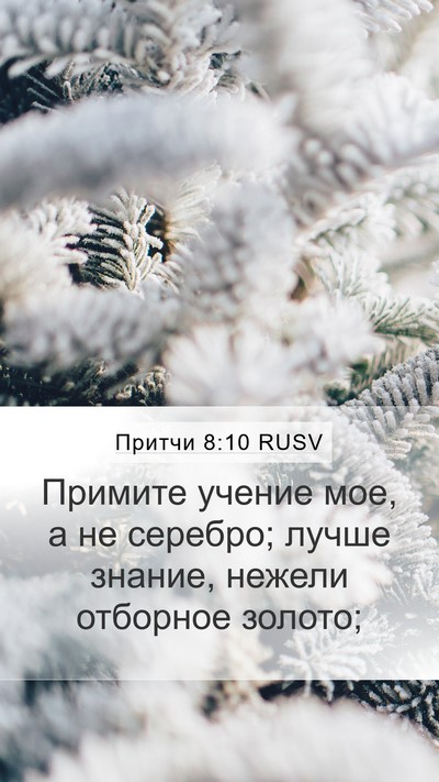 Притчи 8:10 RUSV Bible Verse Image