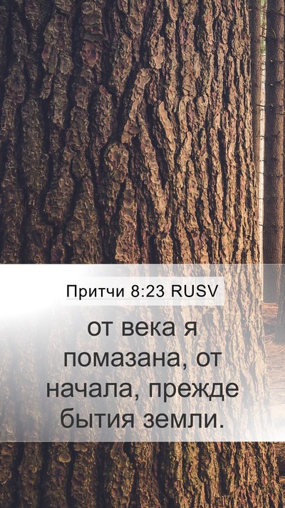 Притчи 8:23 RUSV Mobile Phone Wallpaper - от века я помазана, от - Mobile Bible Verse Wallpaper