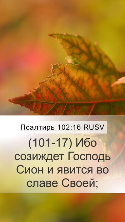Псалтирь 102:16 RUSV Mobile Phone Wallpaper - (101-17) Ибо созиждет Господь - Mobile Bible Verse Wallpaper
