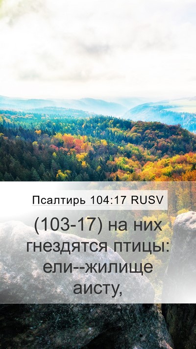 Псалтирь 104:17 RUSV Bible Verse Image