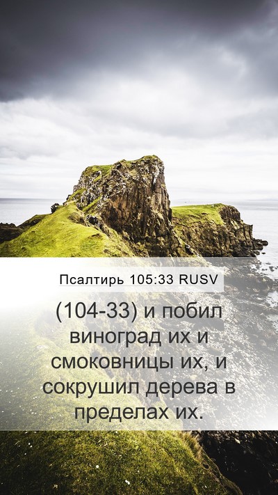Псалтирь 105:33 RUSV Mobile Phone Wallpaper - (104-33) и побил виноград их и - Mobile Bible Verse Wallpaper