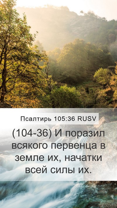 Псалтирь 105:36 RUSV Bible Verse Image