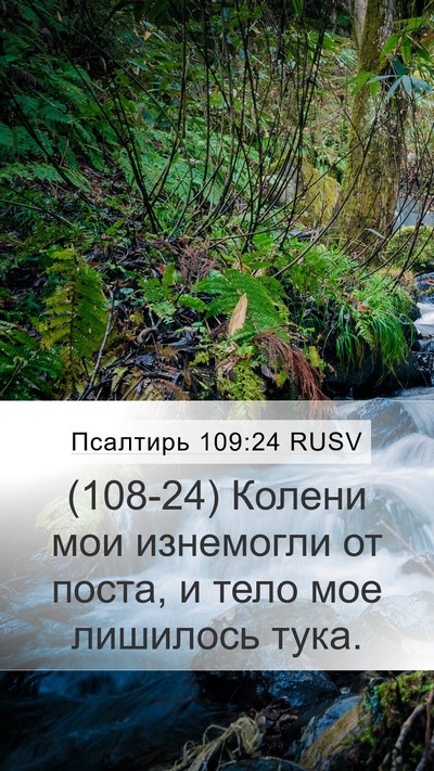 Псалтирь 109:24 RUSV Bible Verse Image