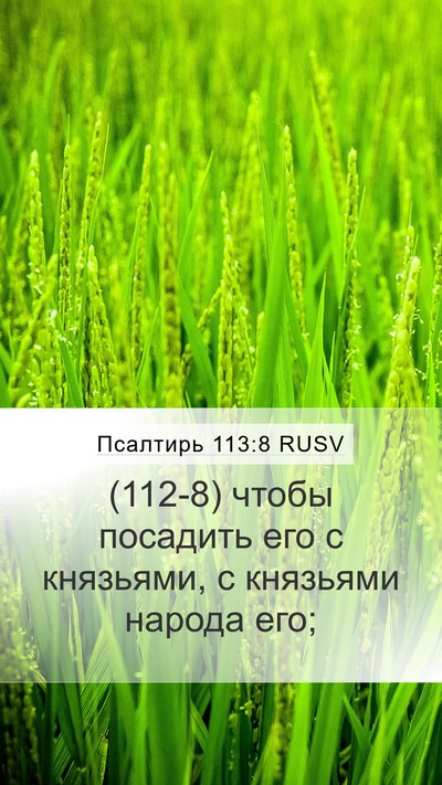 Псалтирь 113:8 RUSV Mobile Phone Wallpaper - (112-8) чтобы посадить его с - Mobile Bible Verse Wallpaper