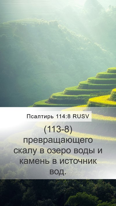 Псалтирь 114:8 RUSV Bible Verse Image