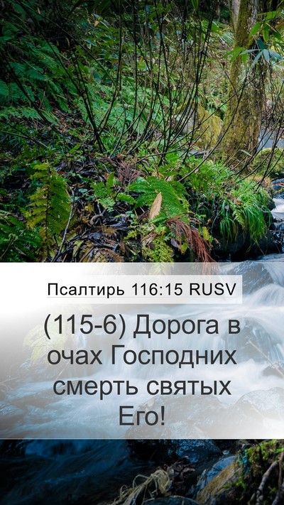 Псалтирь 116:15 RUSV Bible Verse Image