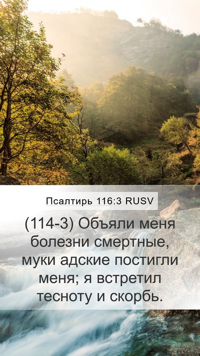 Псалтирь 116:3 RUSV Bible Verse Image