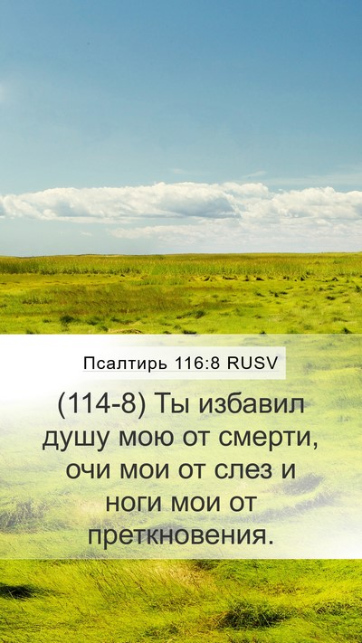 Псалтирь 116:8 RUSV Bible Verse Image