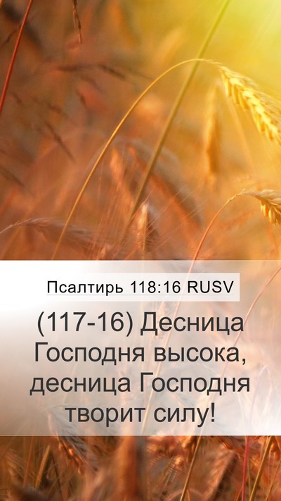 Псалтирь 118:16 RUSV Mobile Phone Wallpaper - (117-16) Десница Господня - Mobile Bible Verse Wallpaper