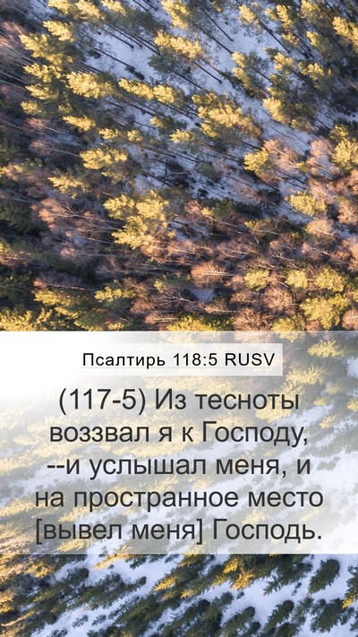 Псалтирь 118:5 RUSV Bible Verse Image