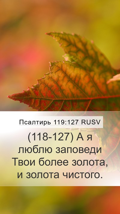 Псалтирь 119:127 RUSV Mobile Phone Wallpaper - (118-127) А я люблю заповеди - Mobile Bible Verse Wallpaper