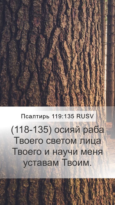 Псалтирь 119:135 RUSV Bible Verse Image