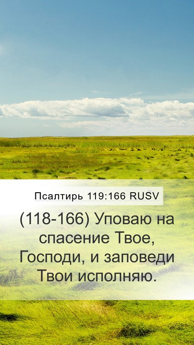 Псалтирь 119:166 RUSV Bible Verse Image