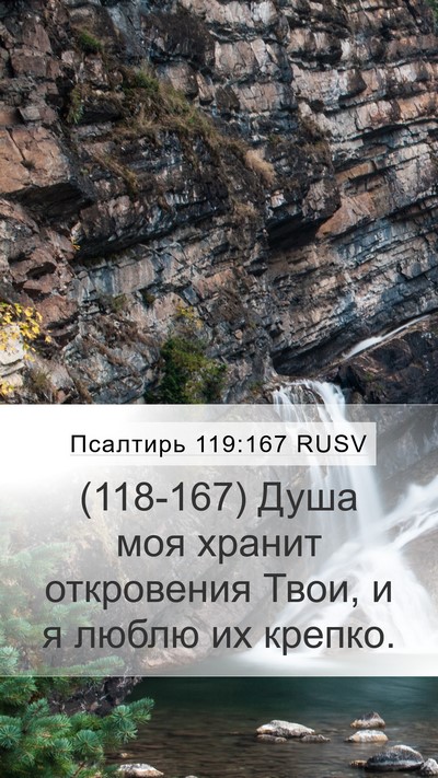 Псалтирь 119:167 RUSV Bible Verse Image