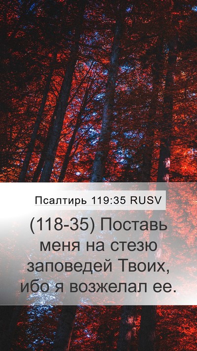 Псалтирь 119:35 RUSV Bible Verse Image
