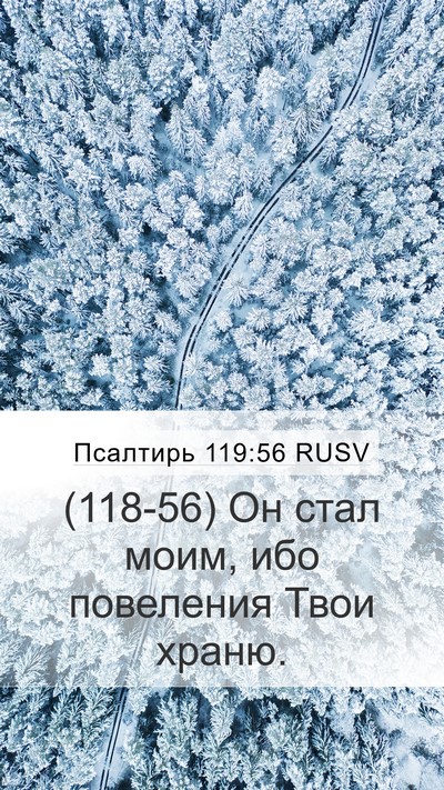 Псалтирь 119:56 RUSV Mobile Phone Wallpaper - (118-56) Он стал моим, ибо - Mobile Bible Verse Wallpaper
