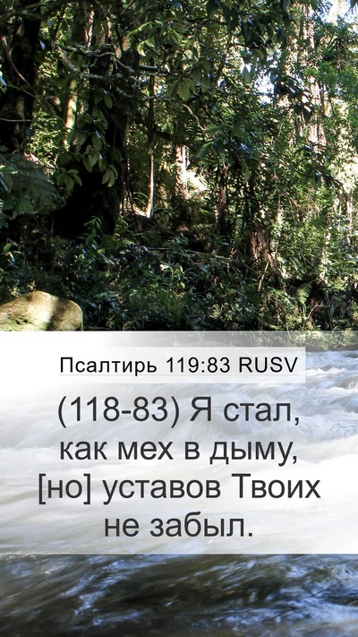 Псалтирь 119:83 RUSV Bible Verse Image