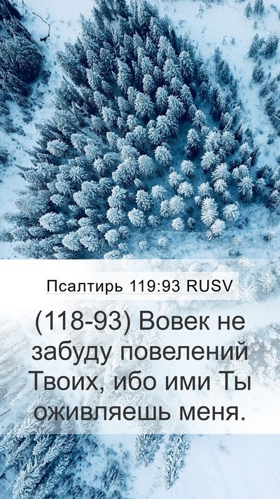 Псалтирь 119:93 RUSV Bible Verse Image