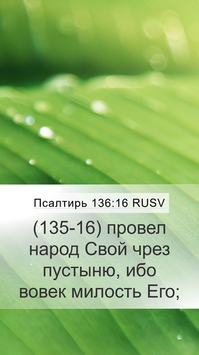 Псалтирь 136:16 RUSV Bible Verse Image