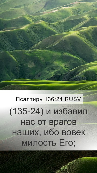 Псалтирь 136:24 RUSV Bible Verse Image