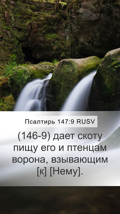 Псалтирь 147:9 RUSV Bible Verse Image