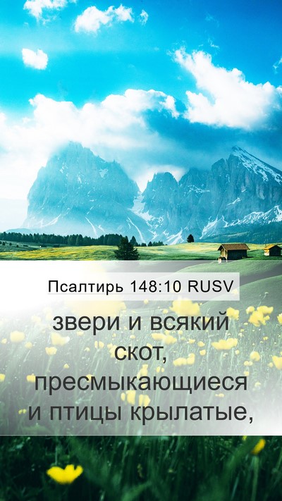 Псалтирь 148:10 RUSV Bible Verse Image