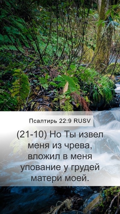 Псалтирь 22:9 RUSV Bible Verse Image