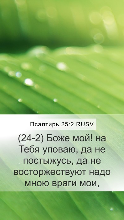 Псалтирь 25:2 RUSV Bible Verse Image