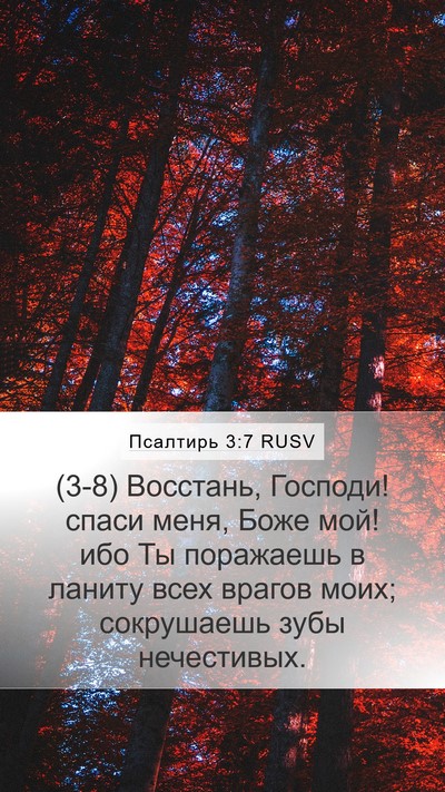 Псалтирь 3:7 RUSV Bible Verse Image