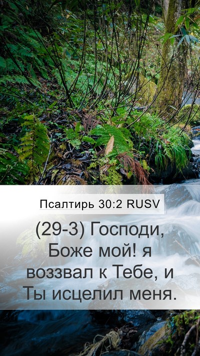 Псалтирь 30:2 RUSV Bible Verse Image
