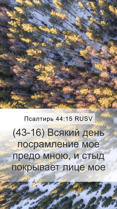 Псалтирь 44:15 RUSV Bible Verse Image