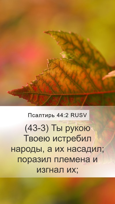 Псалтирь 44:2 RUSV Bible Verse Image