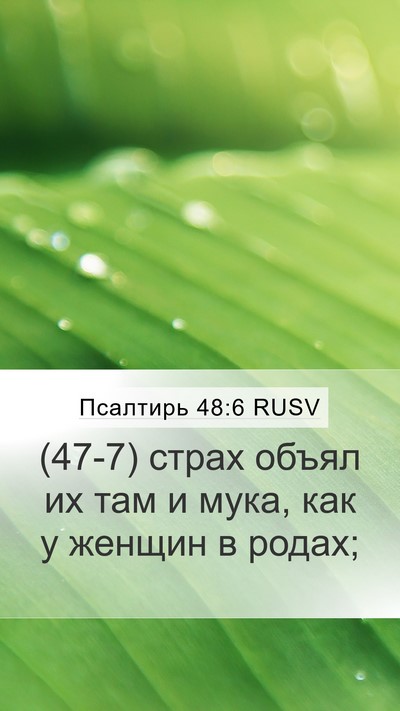 Псалтирь 48:6 RUSV Bible Verse Image