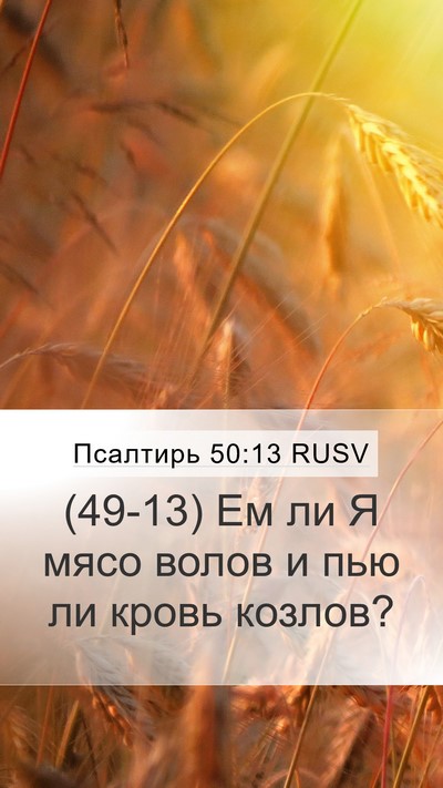 Псалтирь 50:13 RUSV Mobile Phone Wallpaper - (49-13) Ем ли Я мясо волов и - Mobile Bible Verse Wallpaper
