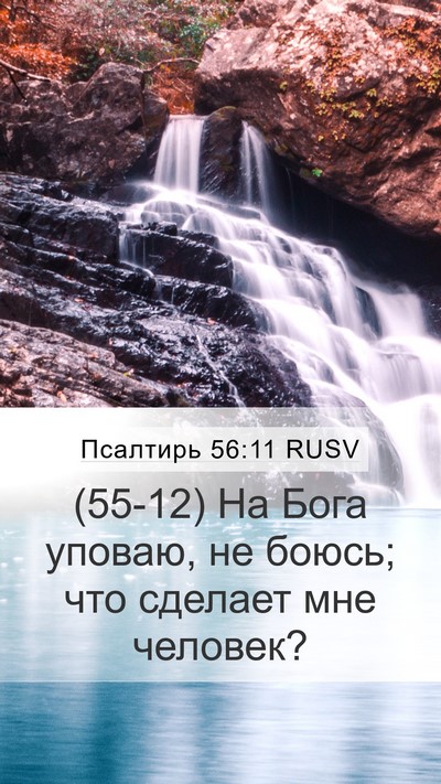 Псалтирь 56:11 RUSV Bible Verse Image