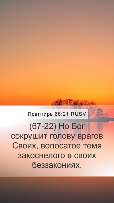 Псалтирь 68:21 RUSV Bible Verse Image