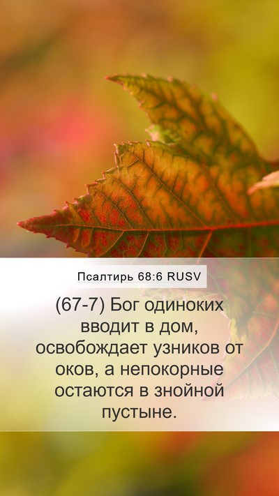 Псалтирь 68:6 RUSV Bible Verse Image