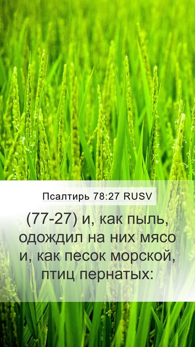 Псалтирь 78:27 RUSV Bible Verse Image