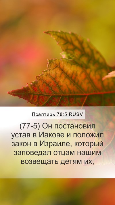 Псалтирь 78:5 RUSV Mobile Phone Wallpaper - (77-5) Он постановил устав в - Mobile Bible Verse Wallpaper